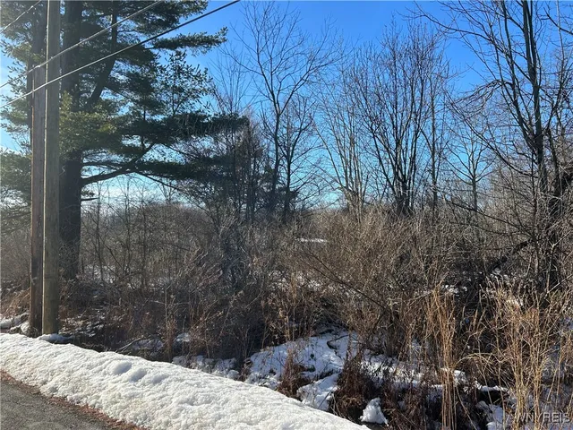 $39,900 | 7336 Derby Road, Evans, NY 14047