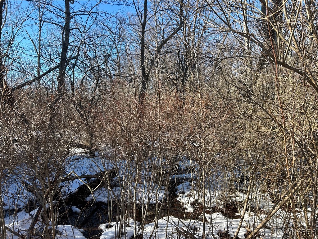 7336 Derby Road Evans, NY 14047 - Photo 5 of 7