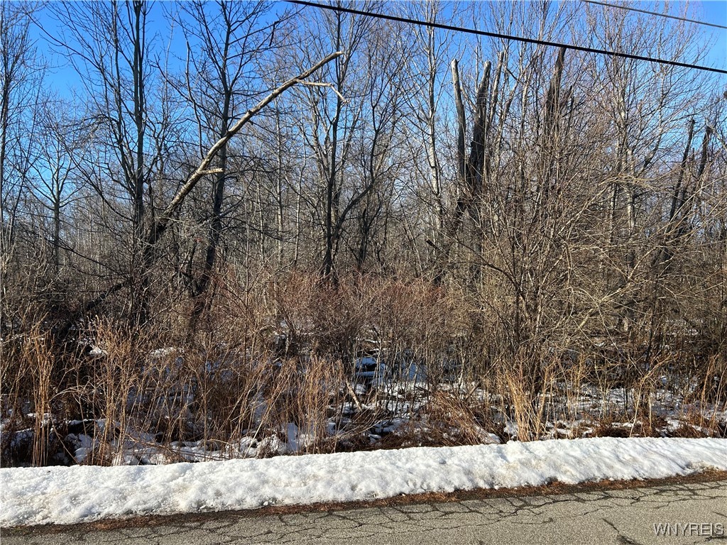 7336 Derby Road Evans, NY 14047 - Photo 7 of 7