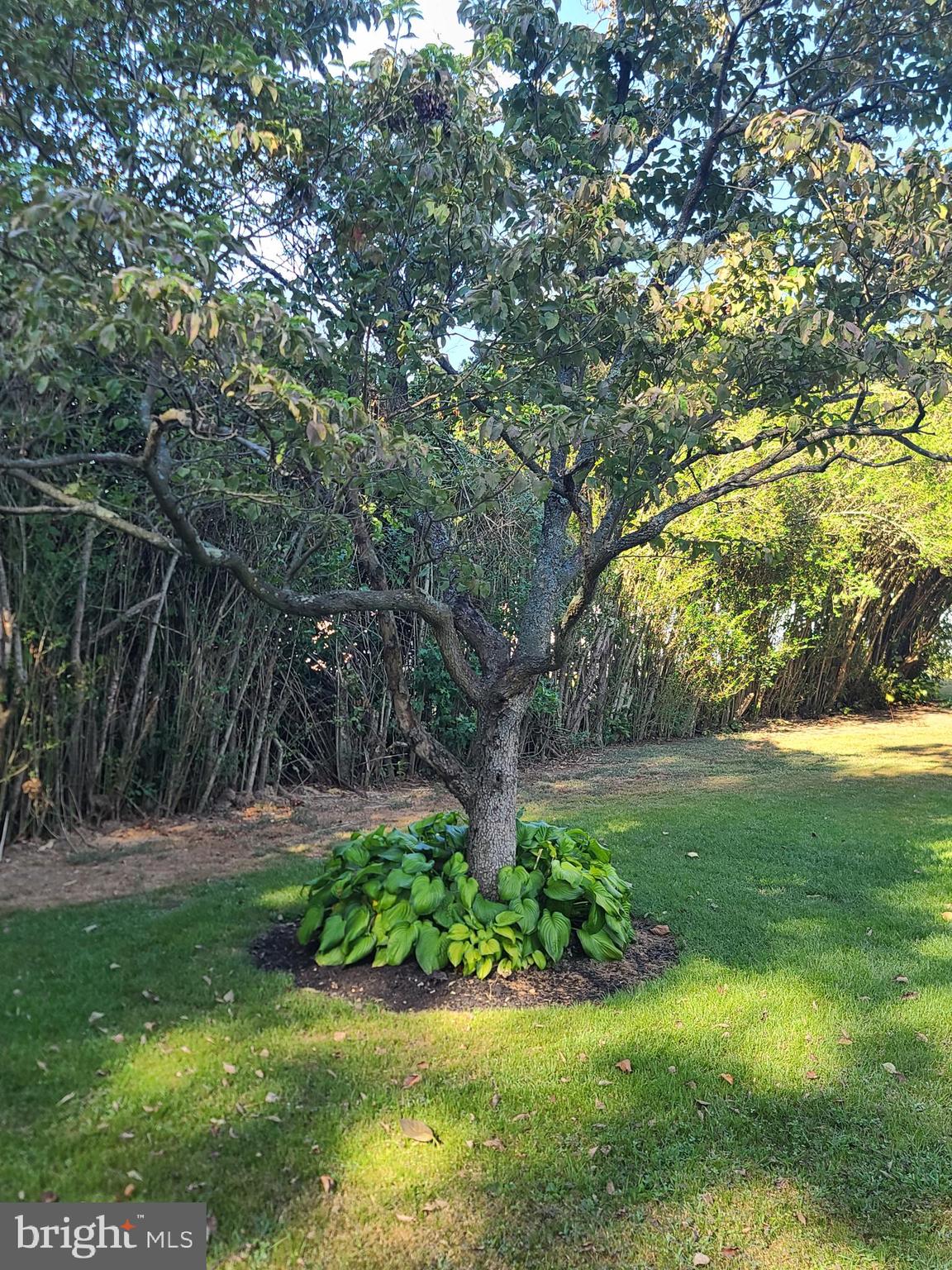 151 Old Burlington Road Bridgeton, NJ 08302 - Photo 12 of 15