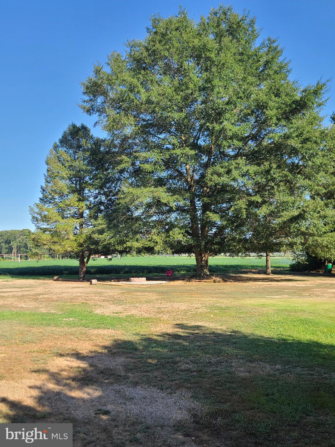 151 Old Burlington Road Bridgeton, NJ 08302 - Photo 8 of 15