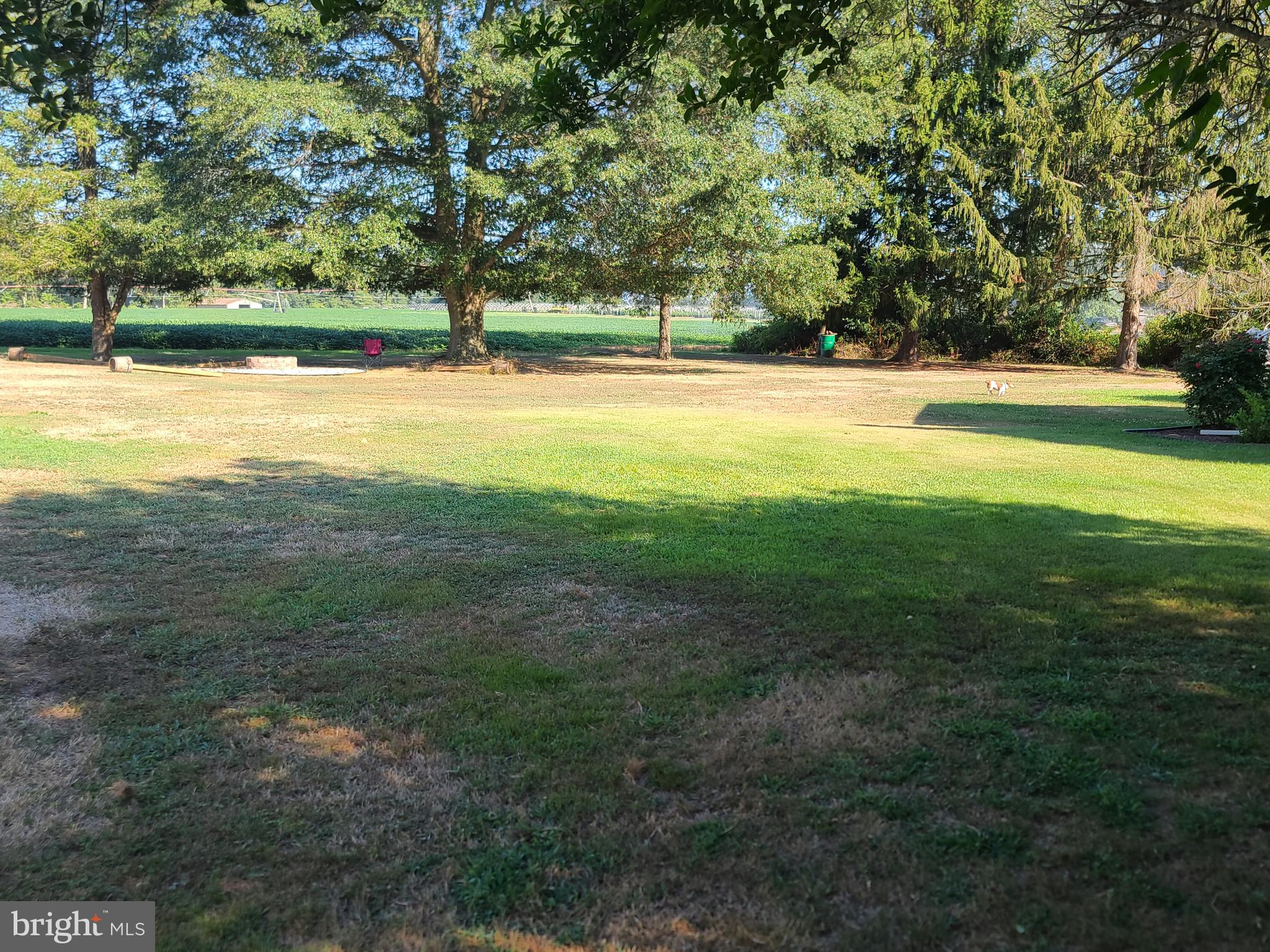 151 Old Burlington Road Bridgeton, NJ 08302 - Photo 9 of 15