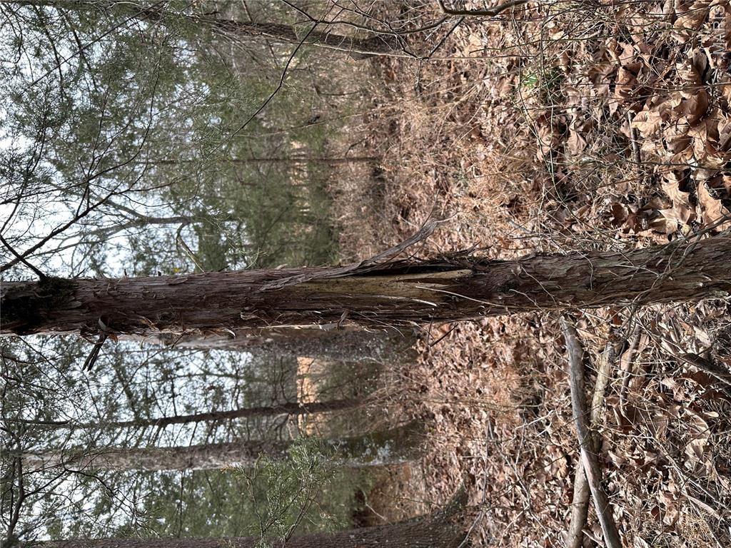 Tbd Upper Janes Creek Road Ravenden, AR 72459 - Photo 5 of 73 Gallery Image 5