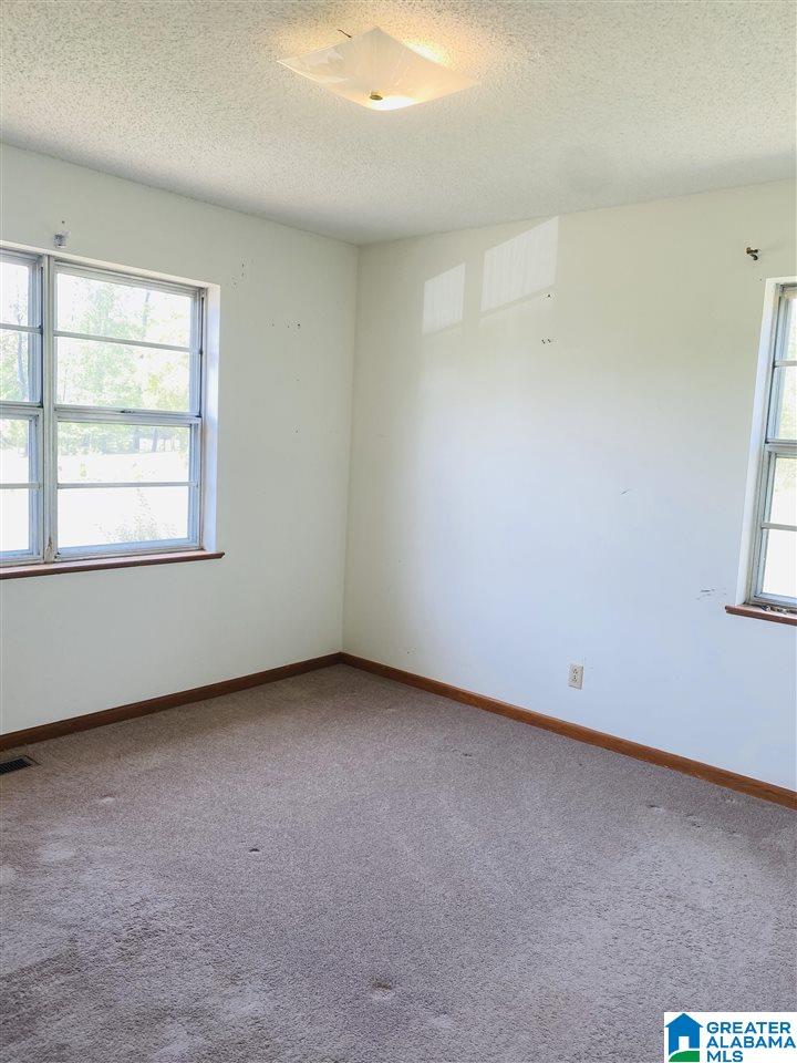 133 McAlpine Road Blountsville, AL 35031 - Photo 6 of 6