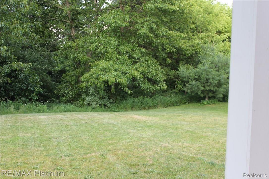 6691 Mabley Hill Road Fenton, MI 48430 - Photo 11 of 28 Front yard with mature trees provide privacy from road