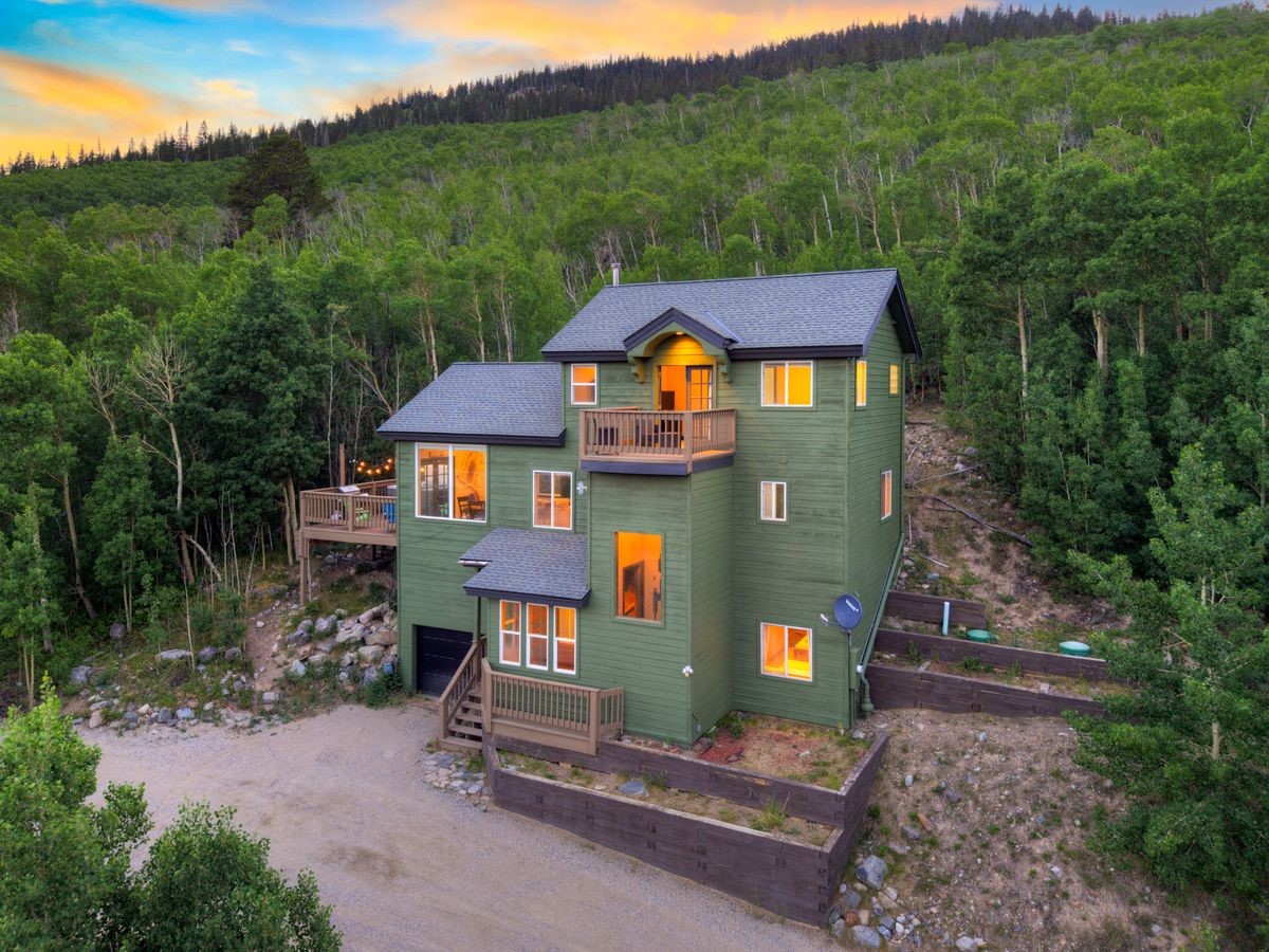 1095 Quartzville Road Alma, CO 80420 - Photo 41 of 48