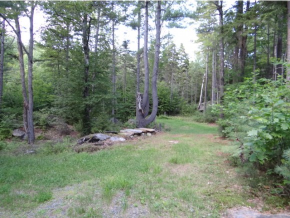 713 Malagash Road Reading, VT 05153 - Photo 3 of 11