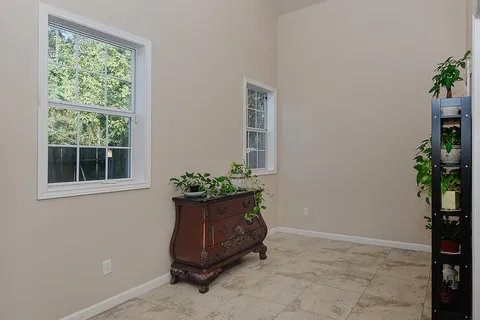 a living room with a potted plant and a potted plant
