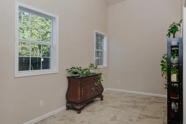 a living room with a potted plant and a potted plant