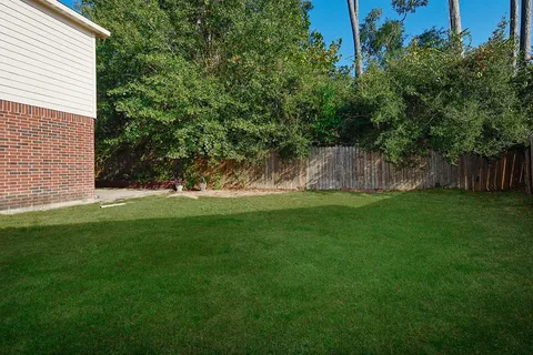 a view of a backyard