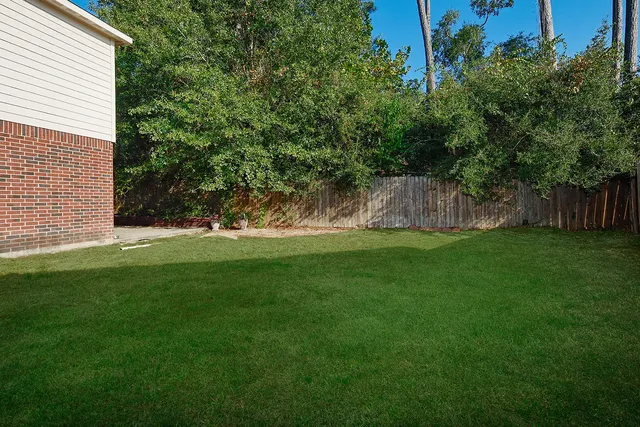 a view of a backyard