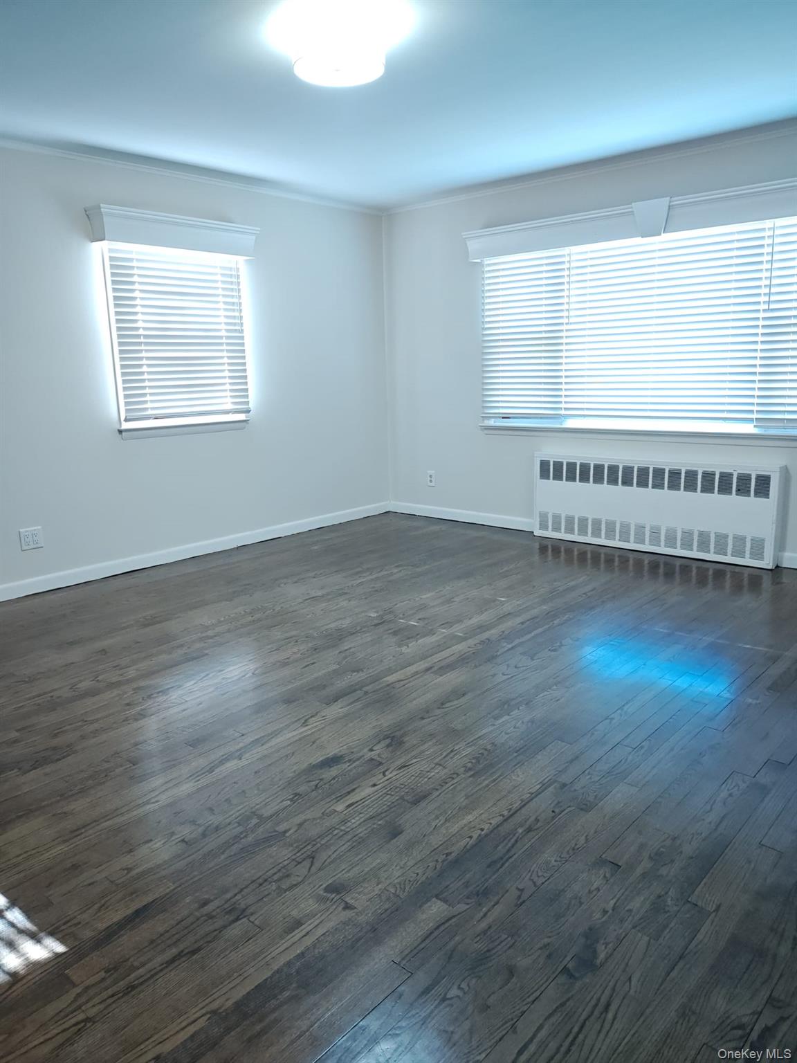 2354 North Wading River Road Wading River, NY 11792 - Photo 8 of 20 Empty room with healthy amount of natural light, radiator heating unit, dark wood-style flooring, and ornamental molding