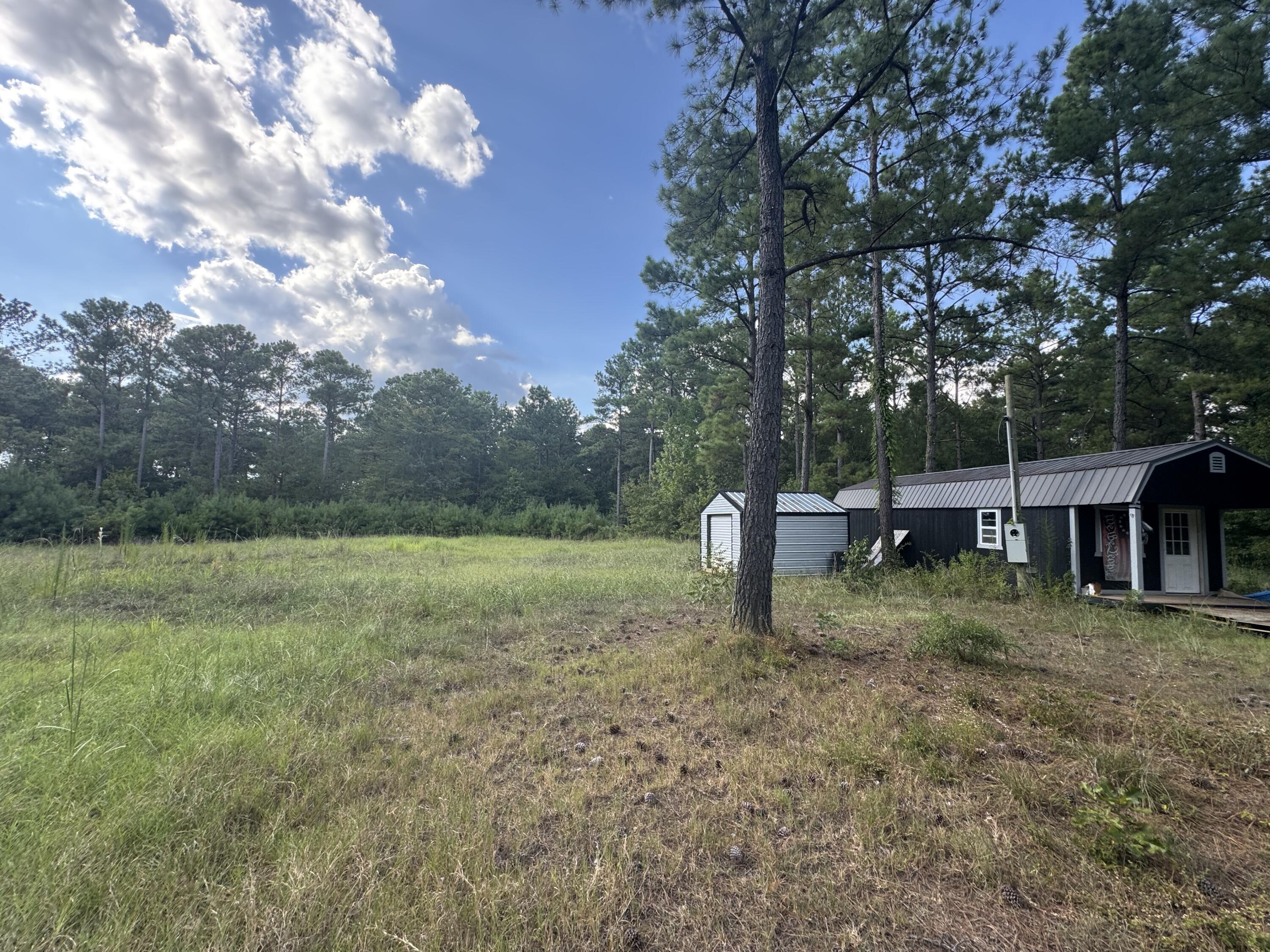 33-ac Crosscreek Road Edgefield, SC 29824 - Photo 8 of 25 a backyard of a house with lots of green space