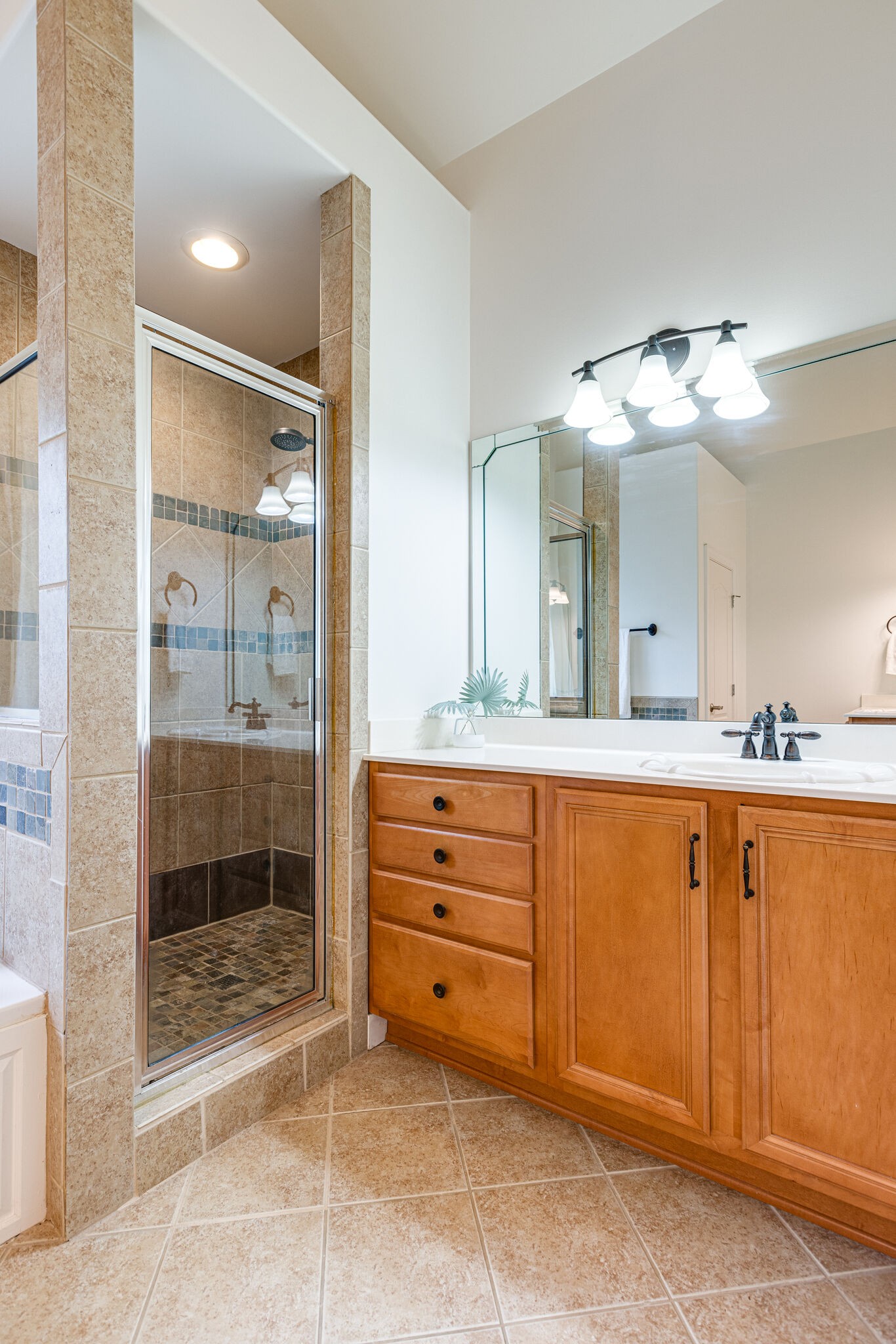 1213 White Rock Road Spring Hill, TN 37174 - Photo 29 of 50 a bathroom with a granite countertop sink mirror and shower