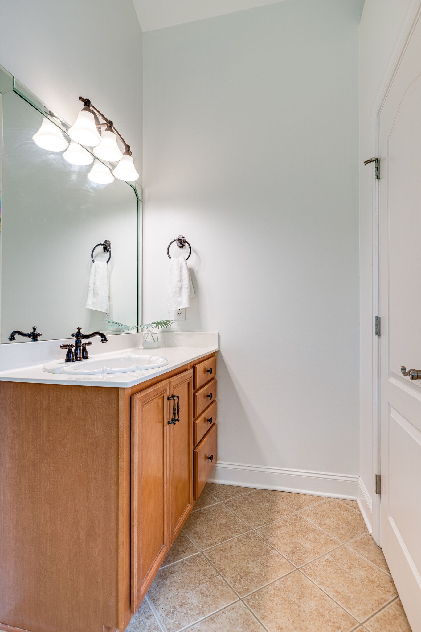 1213 White Rock Road Spring Hill, TN 37174 - Photo 30 of 50 a bathroom with a sink and a mirror