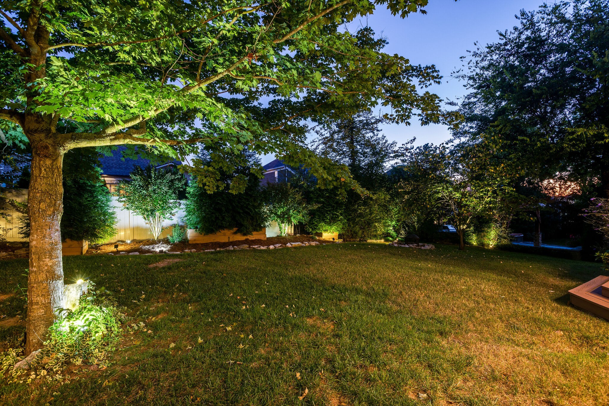 1213 White Rock Road Spring Hill, TN 37174 - Photo 46 of 50 a view of a tree in front of a house