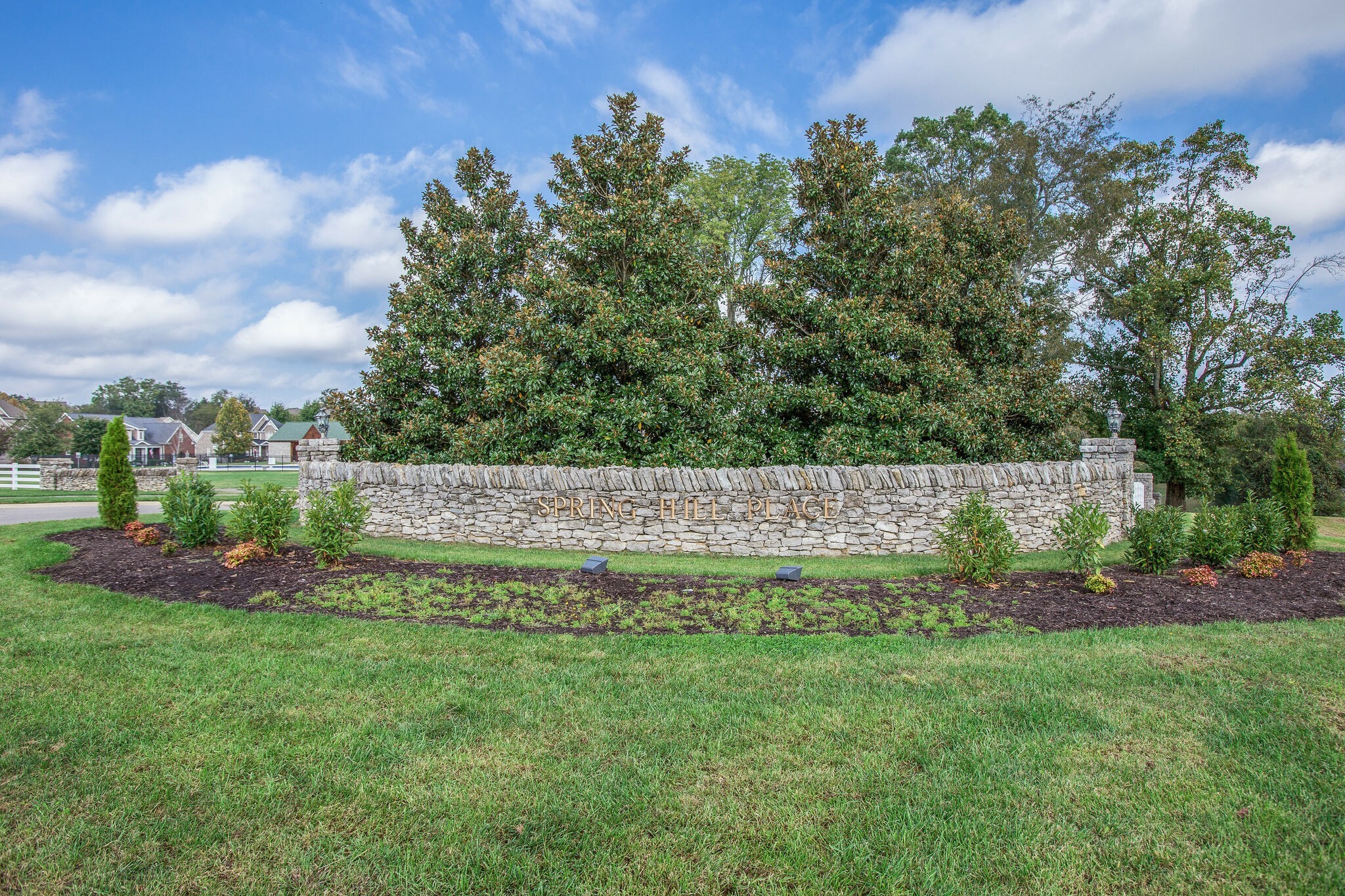 1213 White Rock Road Spring Hill, TN 37174 - Photo 48 of 50 a view of a back yard
