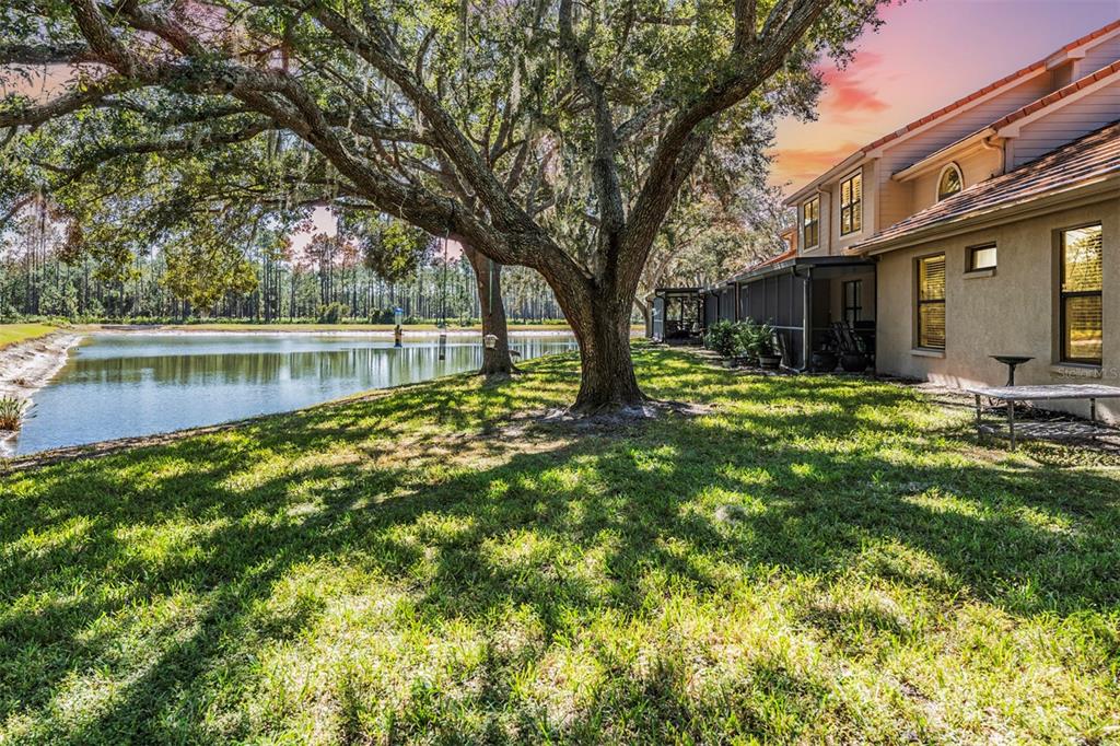 17569 Fairmeadow Drive Tampa, FL 33647 - Photo 2 of 60 a view of a house with a yard