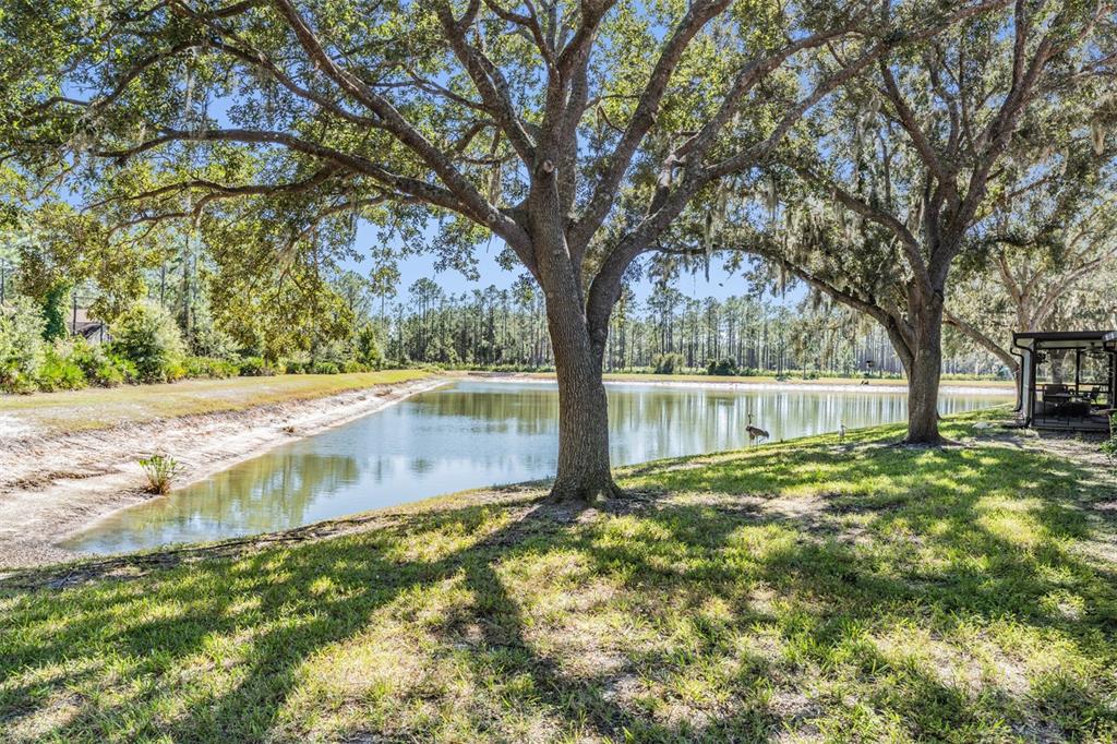 17569 Fairmeadow Drive Tampa, FL 33647 - Photo 29 of 60 a backyard of a house with lots of green space