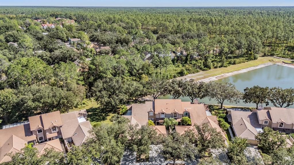 17569 Fairmeadow Drive Tampa, FL 33647 - Photo 30 of 60 an aerial view of a house with a yard