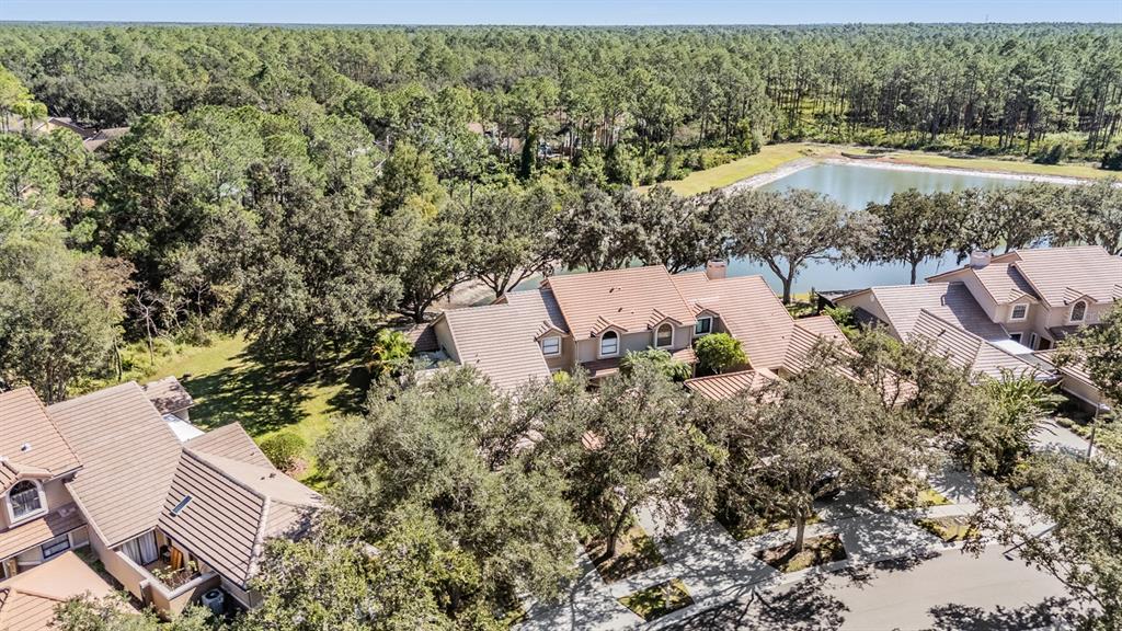 17569 Fairmeadow Drive Tampa, FL 33647 - Photo 37 of 60 a view of a yard