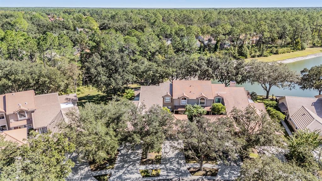 17569 Fairmeadow Drive Tampa, FL 33647 - Photo 39 of 60 an aerial view of a house with a yard