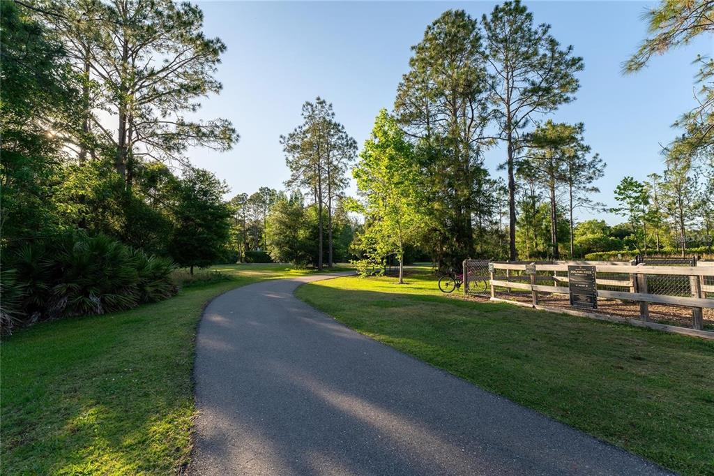 17569 Fairmeadow Drive Tampa, FL 33647 - Photo 43 of 60 a view of a park with large trees