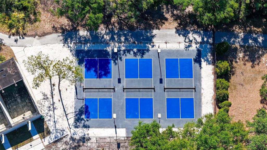 17569 Fairmeadow Drive Tampa, FL 33647 - Photo 46 of 60