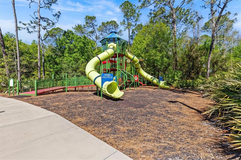 17569 Fairmeadow Drive Tampa, FL 33647 - Photo 50 of 60 a childrens park with lots of swings slides and swimming pool in the back