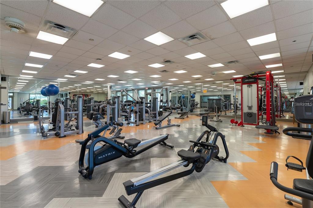 17569 Fairmeadow Drive Tampa, FL 33647 - Photo 51 of 60 a view of a room with gym equipment