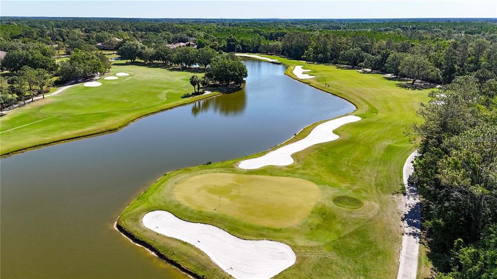 17569 Fairmeadow Drive Tampa, FL 33647 - Photo 52 of 60 a view of a swimming pool with a yard