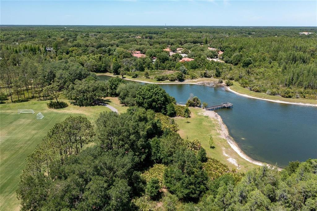 17569 Fairmeadow Drive Tampa, FL 33647 - Photo 55 of 60 an aerial view of a house with a yard and lake view