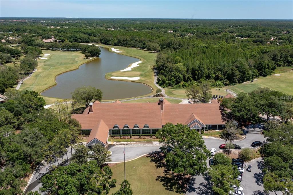 17569 Fairmeadow Drive Tampa, FL 33647 - Photo 57 of 60 an aerial view of a house with a lake view
