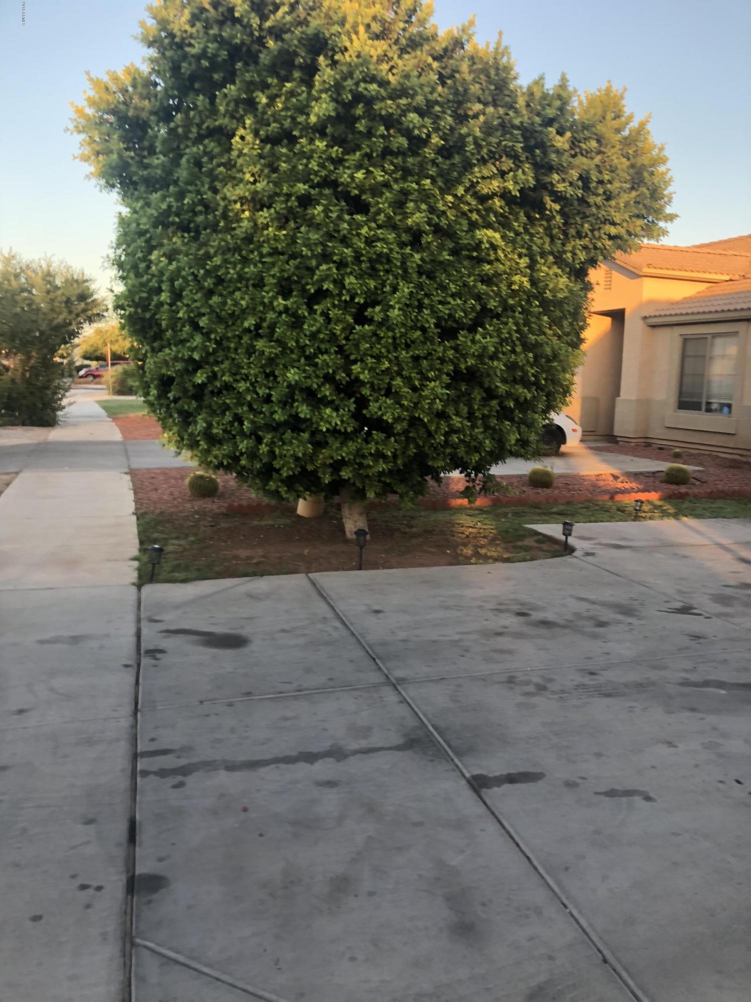 1211 West Maldonado Road Phoenix, AZ 85041 - Photo 48 of 64 479F7556-D628-420F-BABF-69DDEB05DA6B