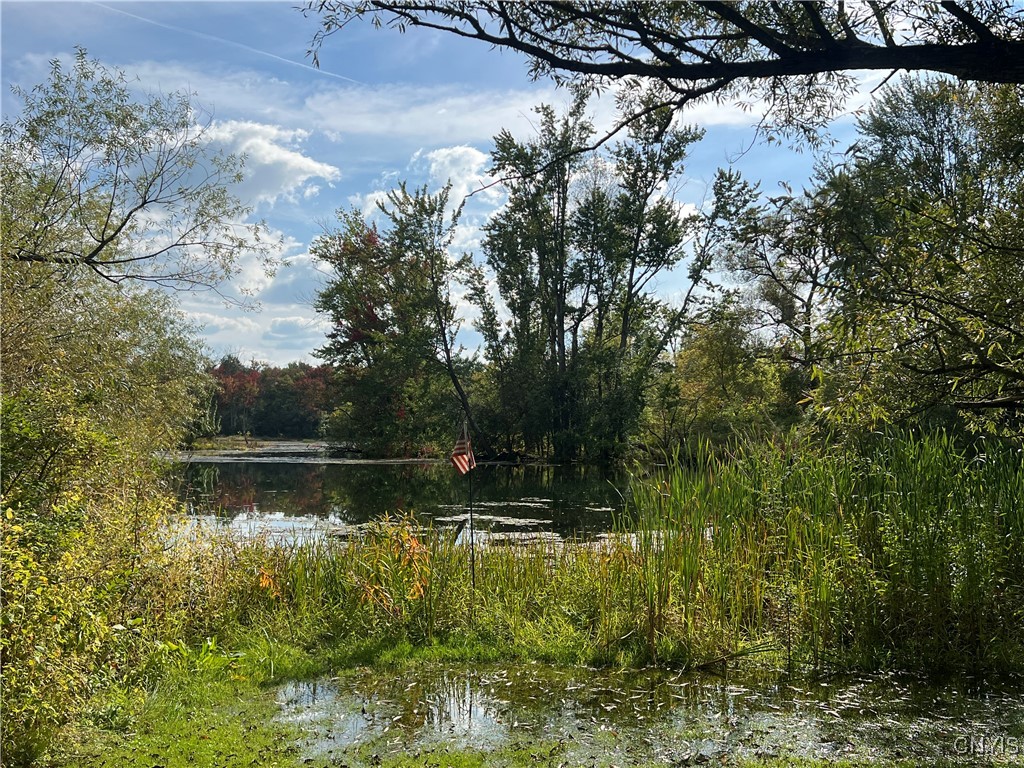 1720 Little York Crossing Road Homer, NY 13077 - Photo 11 of 49 lake view with access