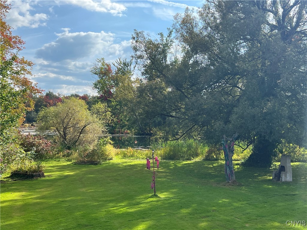 1720 Little York Crossing Road Homer, NY 13077 - Photo 43 of 49