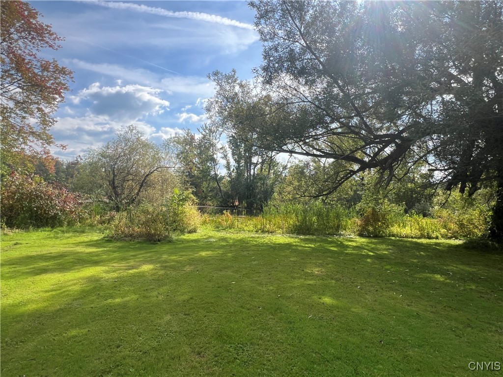 1720 Little York Crossing Road Homer, NY 13077 - Photo 46 of 49