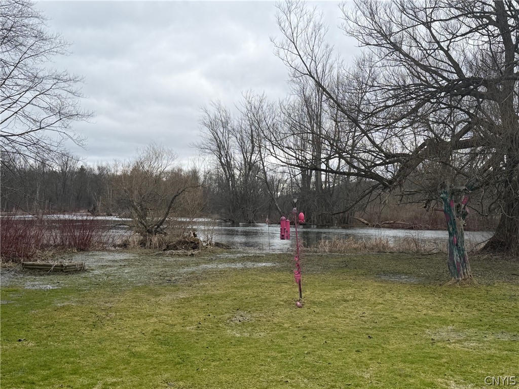 1720 Little York Crossing Road Homer, NY 13077 - Photo 7 of 49 current water view