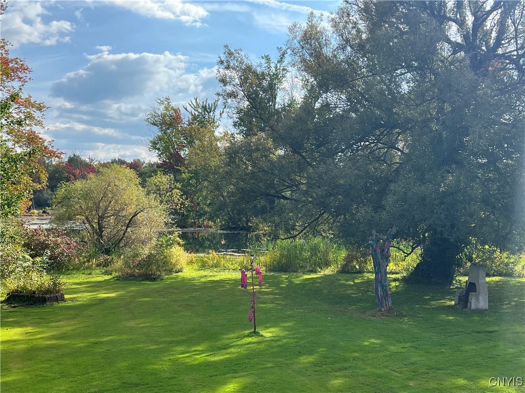 1720 Little York Crossing Road Homer, NY 13077 - Photo 8 of 49 back yard with view of the lake