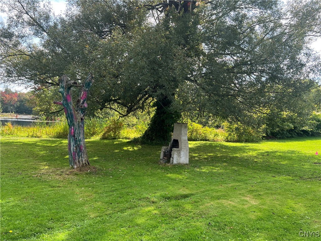 1720 Little York Crossing Road Homer, NY 13077 - Photo 10 of 49 back yard