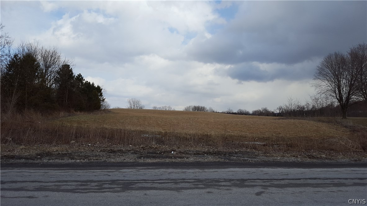 Lot 3 Nelson Road Canastota, NY 13032 - Photo 1 of 1 Gallery Image 1