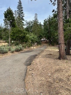 52358 Elder Road, Unit 52 Big Creek, CA 93605 - Photo 22 of 41 a view of a road with trees in the background