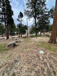 52358 Elder Road, Unit 52 Big Creek, CA 93605 - Photo 31 of 41 a backyard of a house with lots of green space