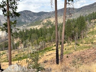 52358 Elder Road, Unit 52 Big Creek, CA 93605 - Photo 37 of 41 a view of a forest with mountain view