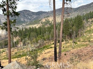 52358 Elder Road, Unit 52 Big Creek, CA 93605 - Photo 41 of 41 a view of a forest with mountain view
