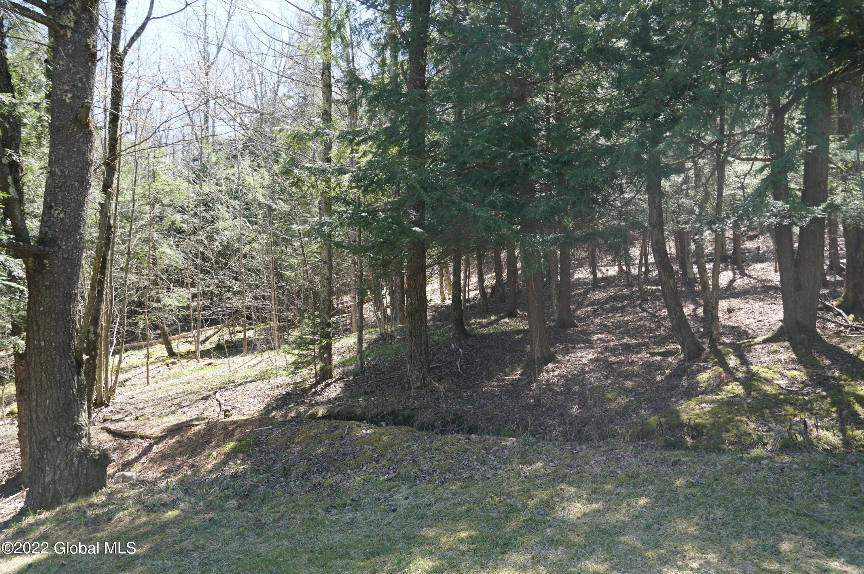 1090 Canaday Hill Road Middleburgh, NY 12122 - Photo 36 of 40 DSC07308
