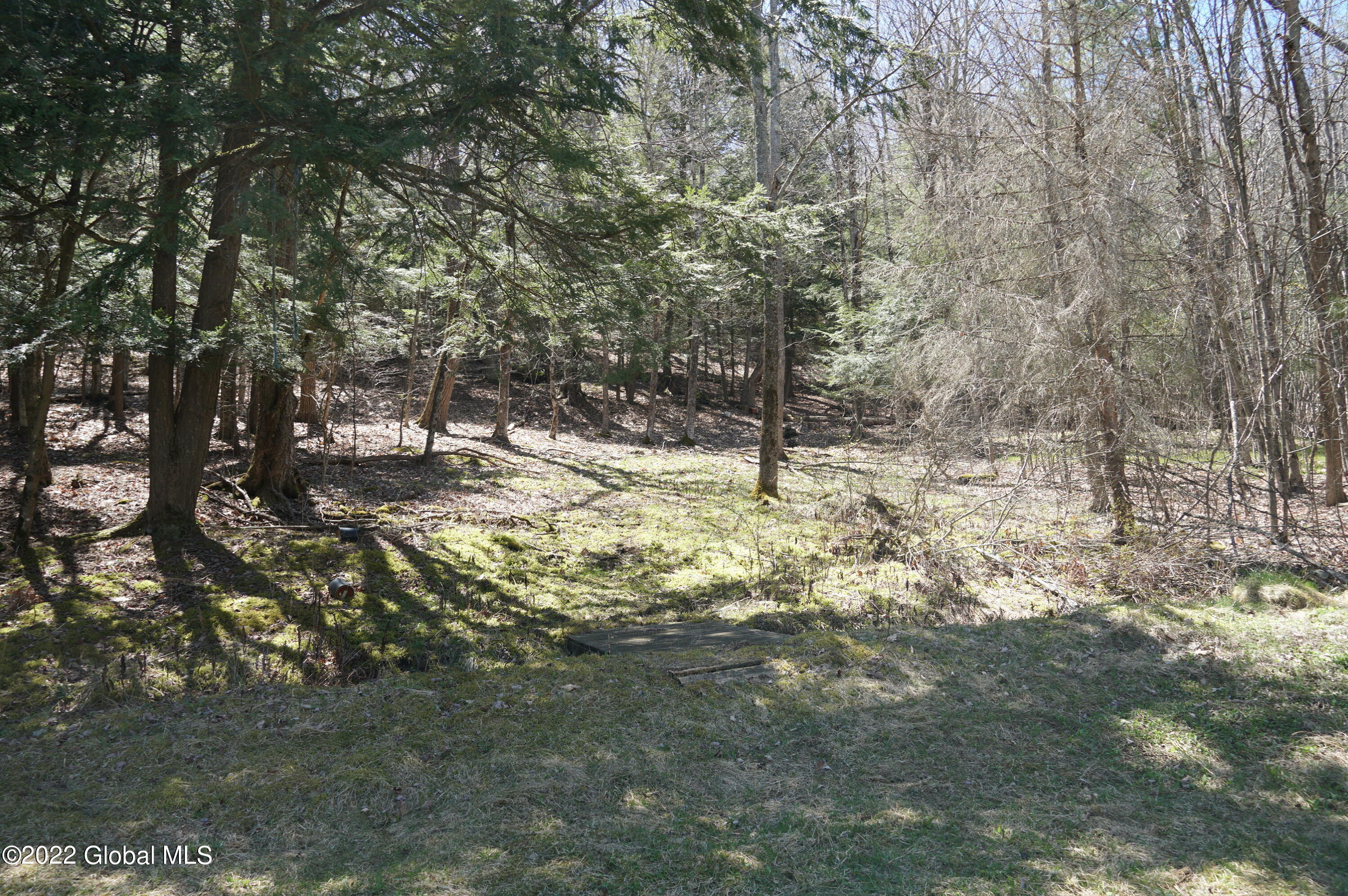 1090 Canaday Hill Road Middleburgh, NY 12122 - Photo 37 of 40 DSC07310