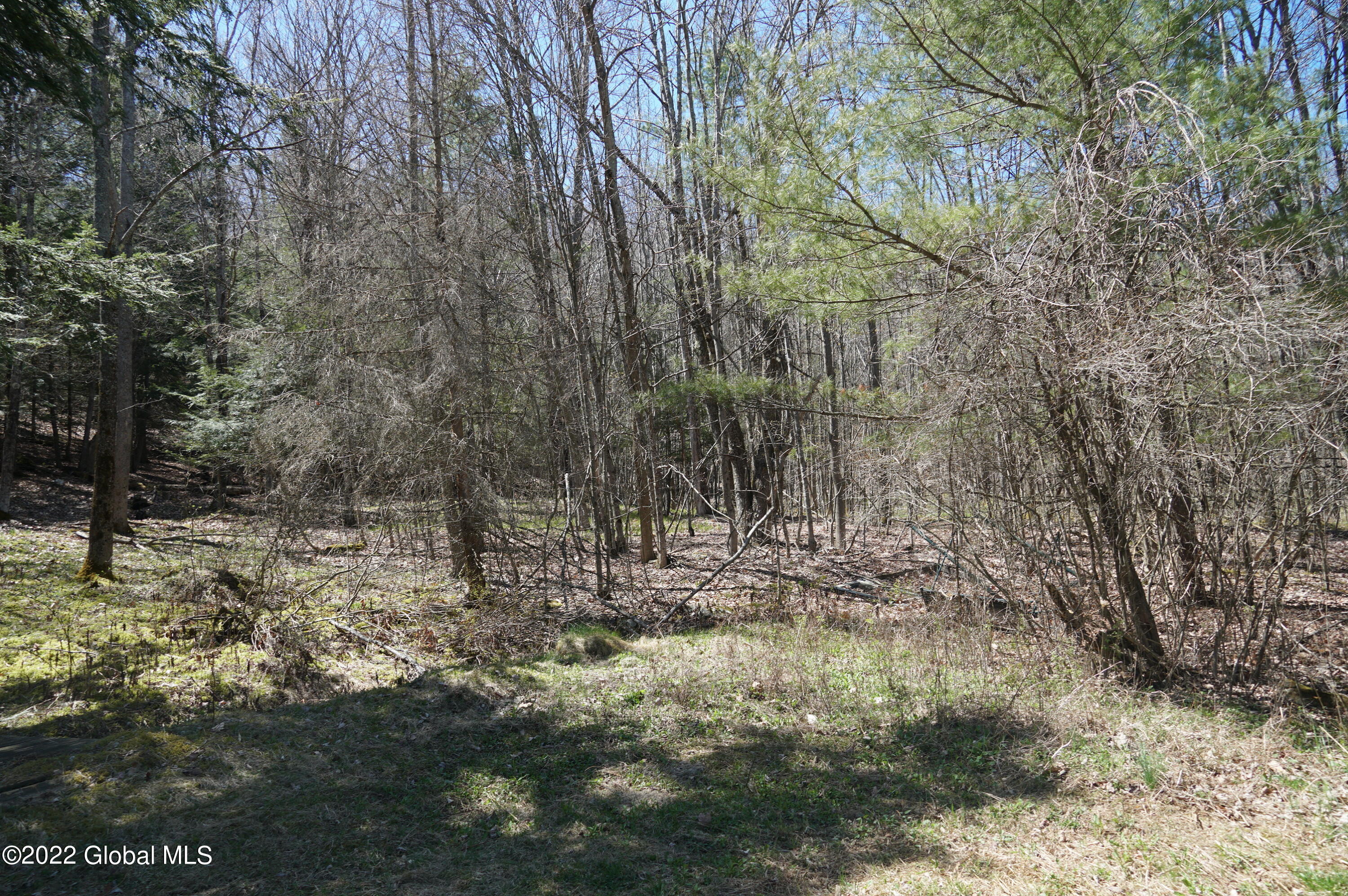 1090 Canaday Hill Road Middleburgh, NY 12122 - Photo 38 of 40 DSC07311