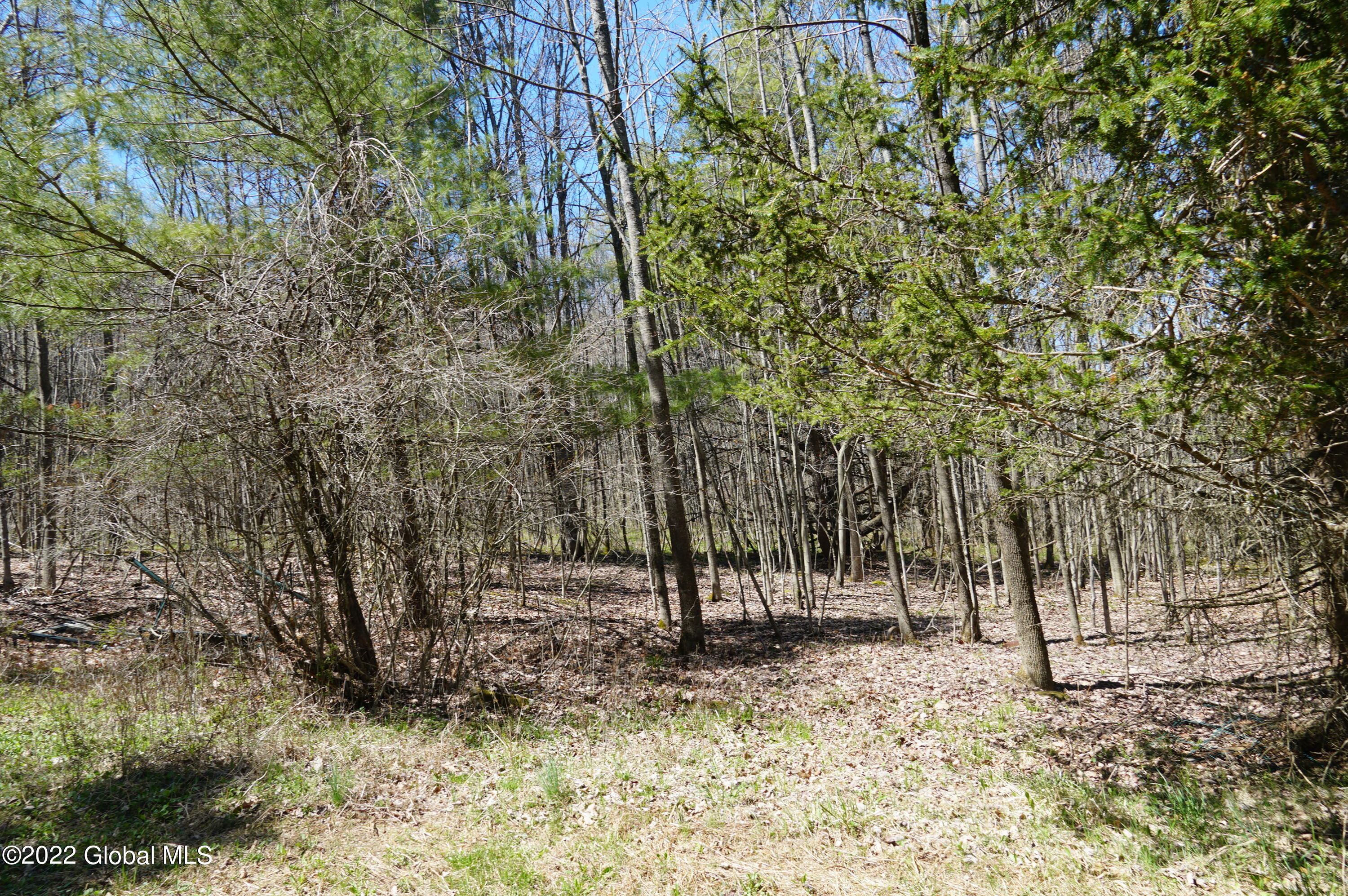 1090 Canaday Hill Road Middleburgh, NY 12122 - Photo 39 of 40 DSC07312