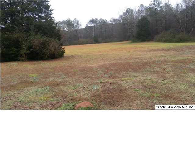177 Willman Road Talladega, AL 35160 - Photo 15 of 20